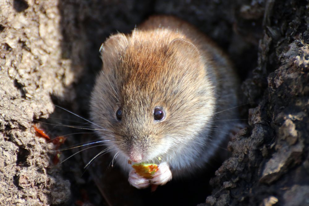 Photograph by Галия Гайсина