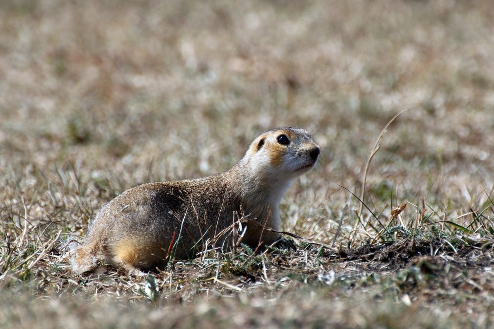 Photograph by Галия Гайсина