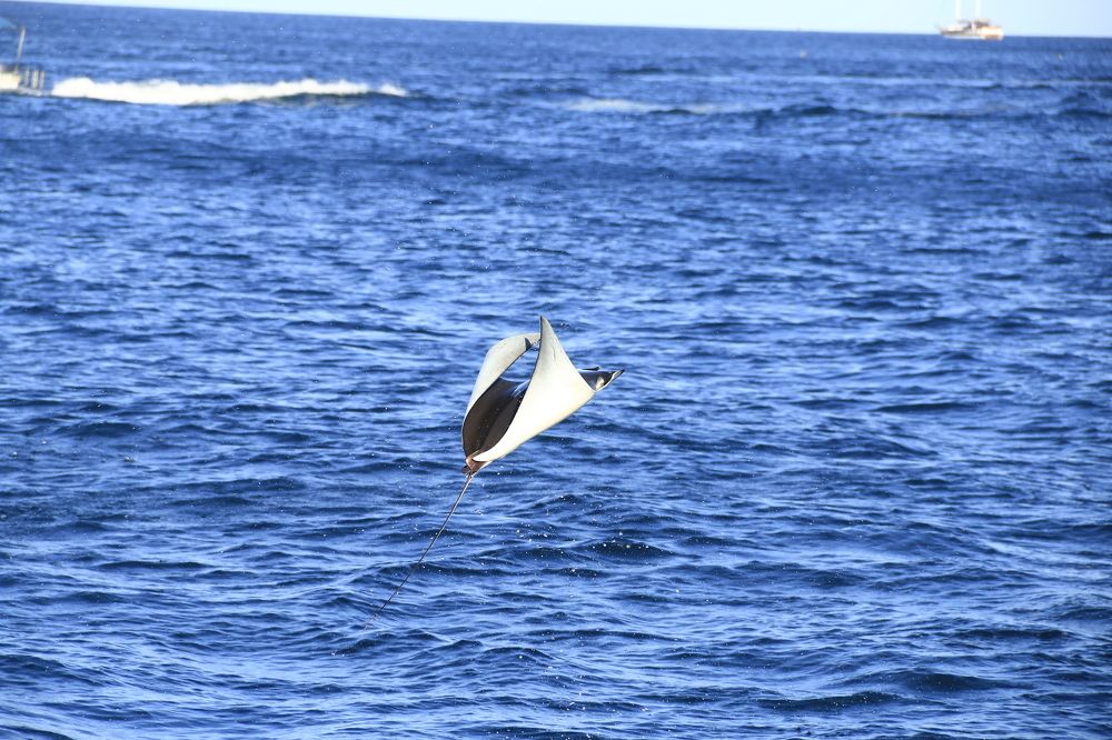 Photograph by Cecilia Islas