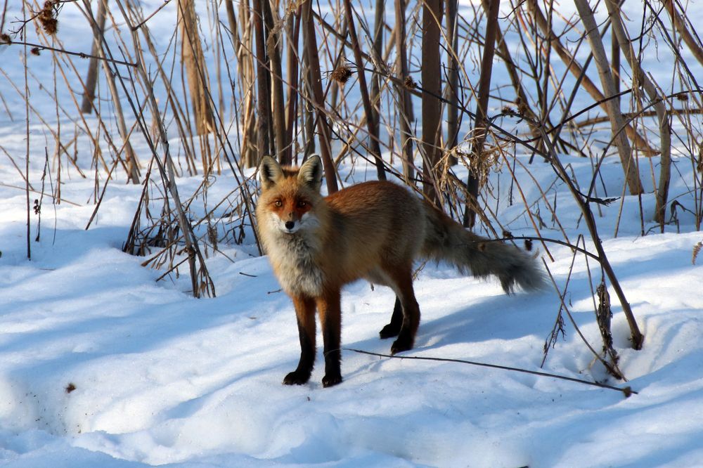 Photograph by Галия Гайсина