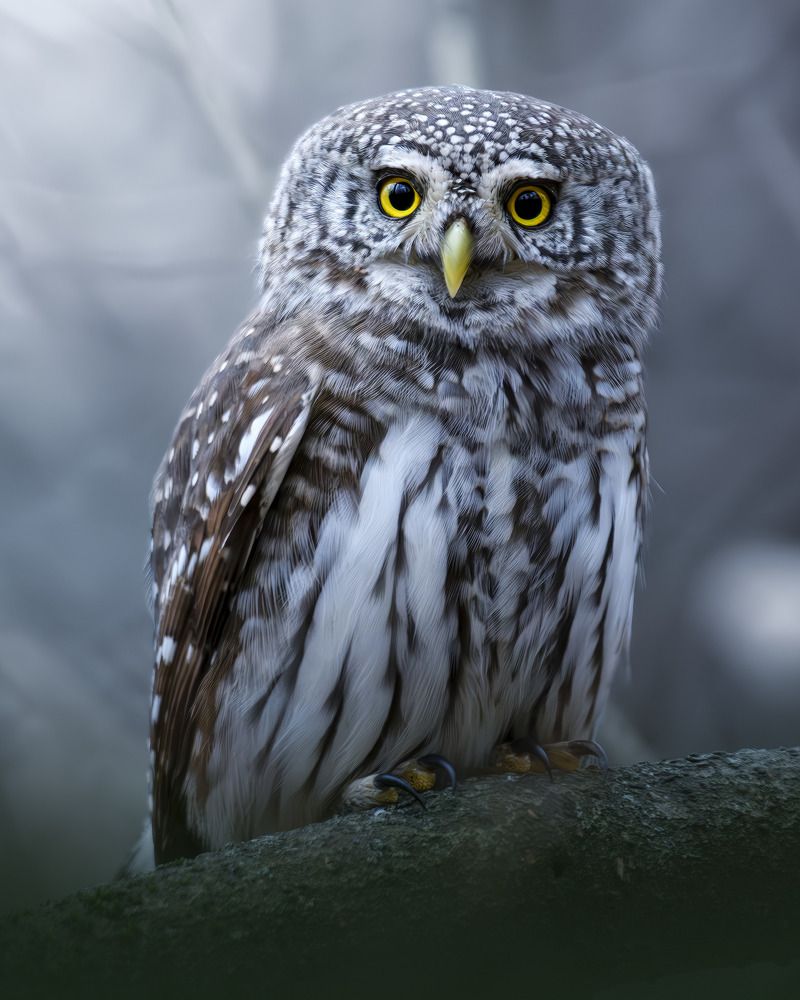 Photograph by Поляков Михаил