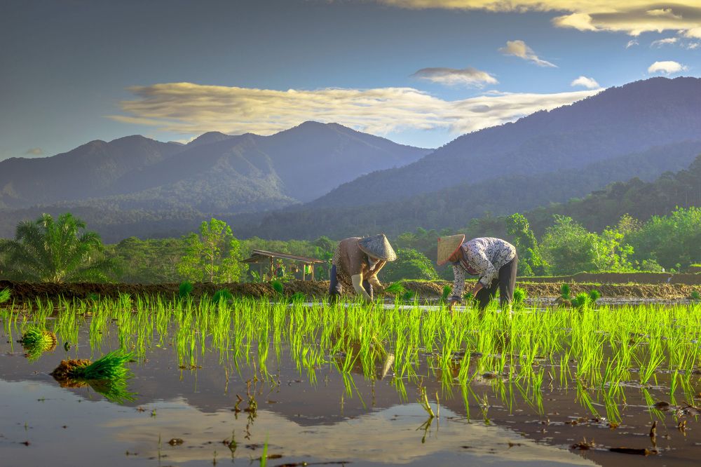 Photograph by rahmad himawan