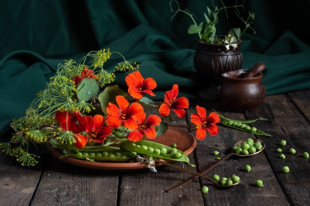 Photograph by Елена Плотникова