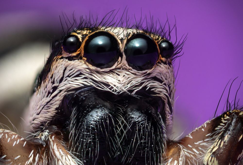 Photograph by Вячеслав Мельников