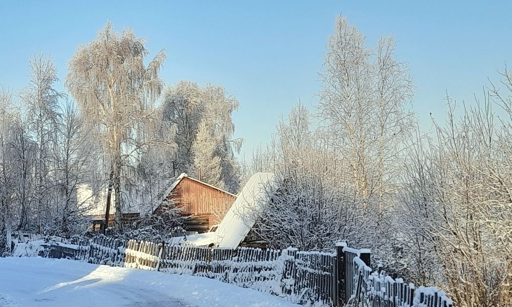 Photograph by Соколова Елена