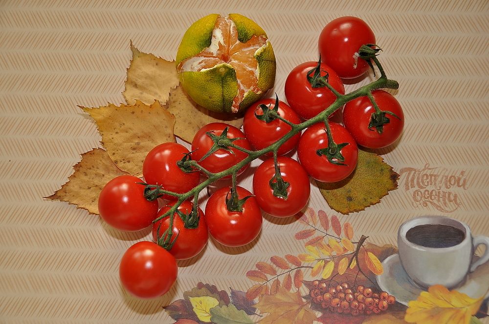 Photograph by Герасимова Татьяна