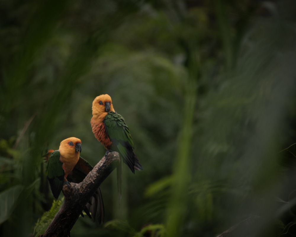 Photograph by Dhruv Kaithwas