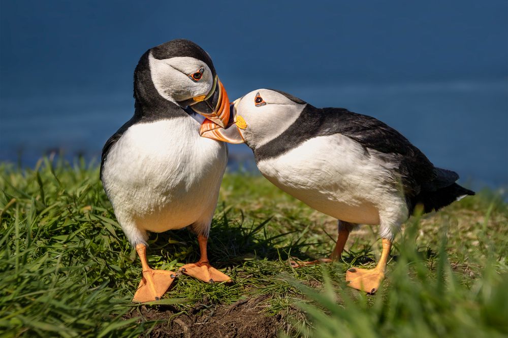 Photograph by Zhenhuan Zhou