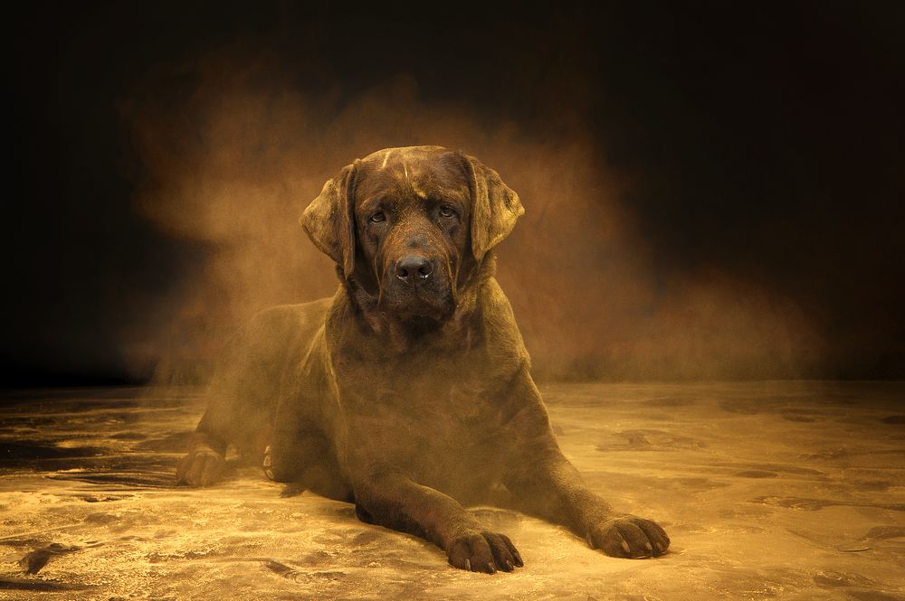 Photograph by Алина Колосова