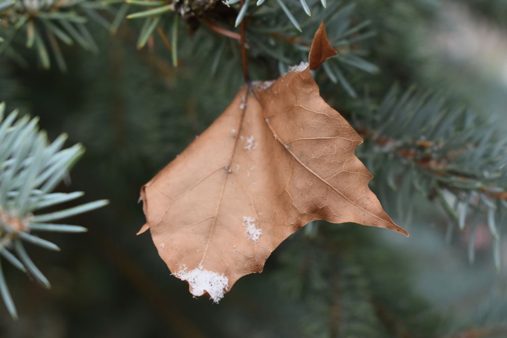 Photograph by Ксения Лебедева