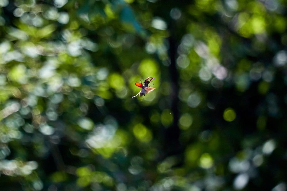 Photograph by Андрей Востриков