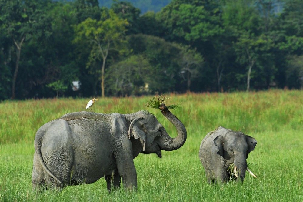 Photograph by Preet saluja