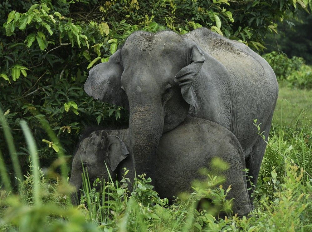 Photograph by Preet saluja