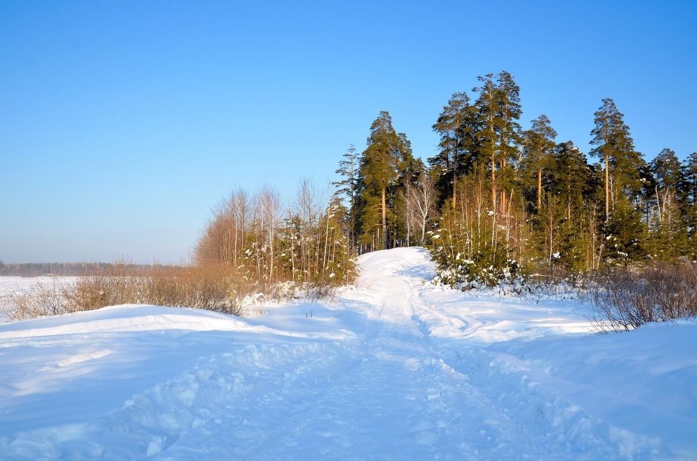 Photograph by Вячеслав Розмин