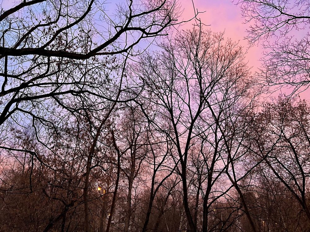 Photograph by Ирина