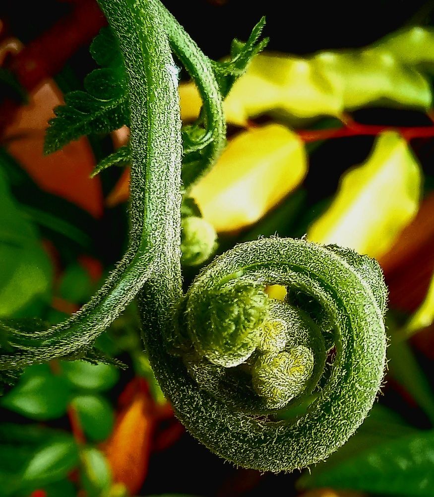 Photograph by Pujo Cahyono