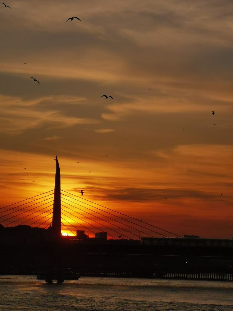 Photograph by Анастасия