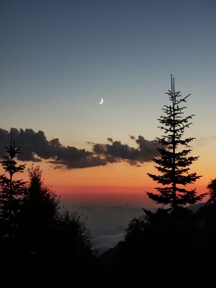 Photograph by Анастасия