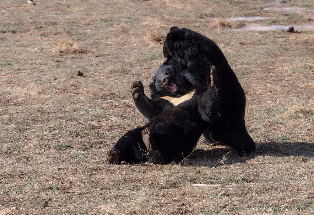 Photograph by Скосарев Роман