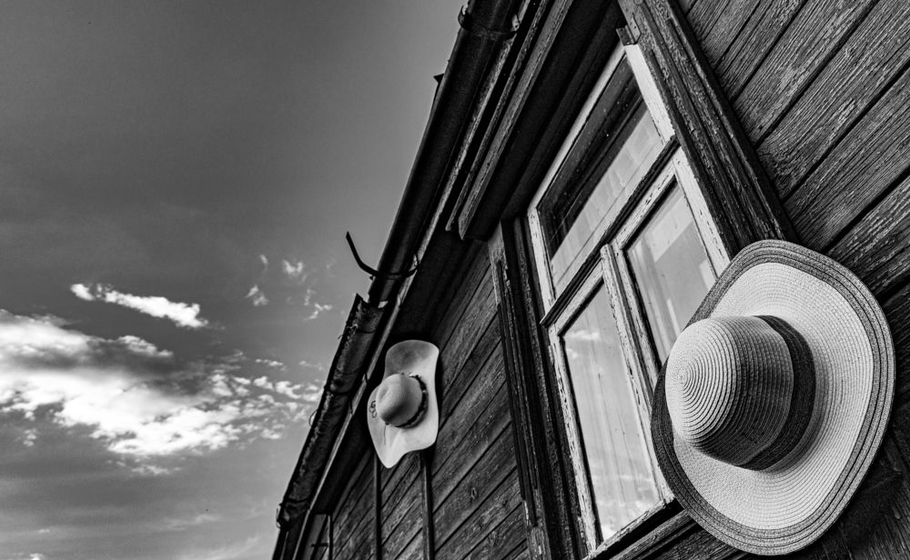 Photograph by Николай Клопов