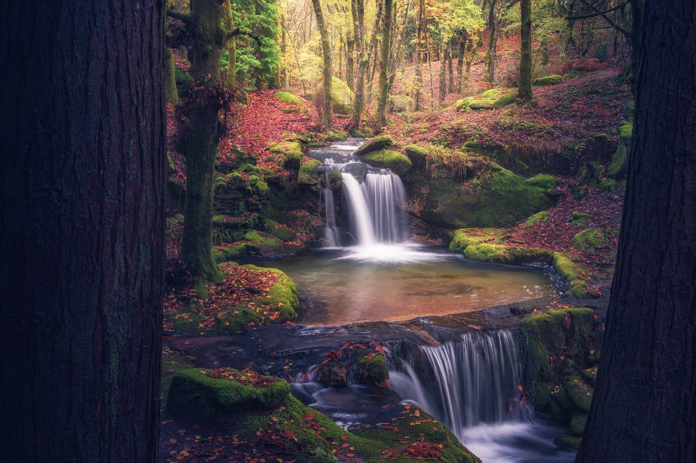 Photograph by Francisco Crusat