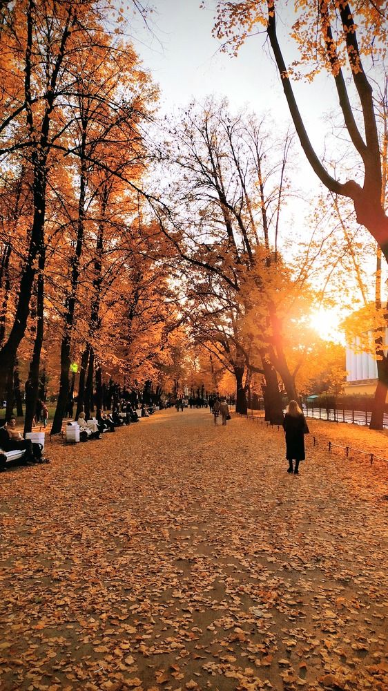 Photograph by Елена Подольская