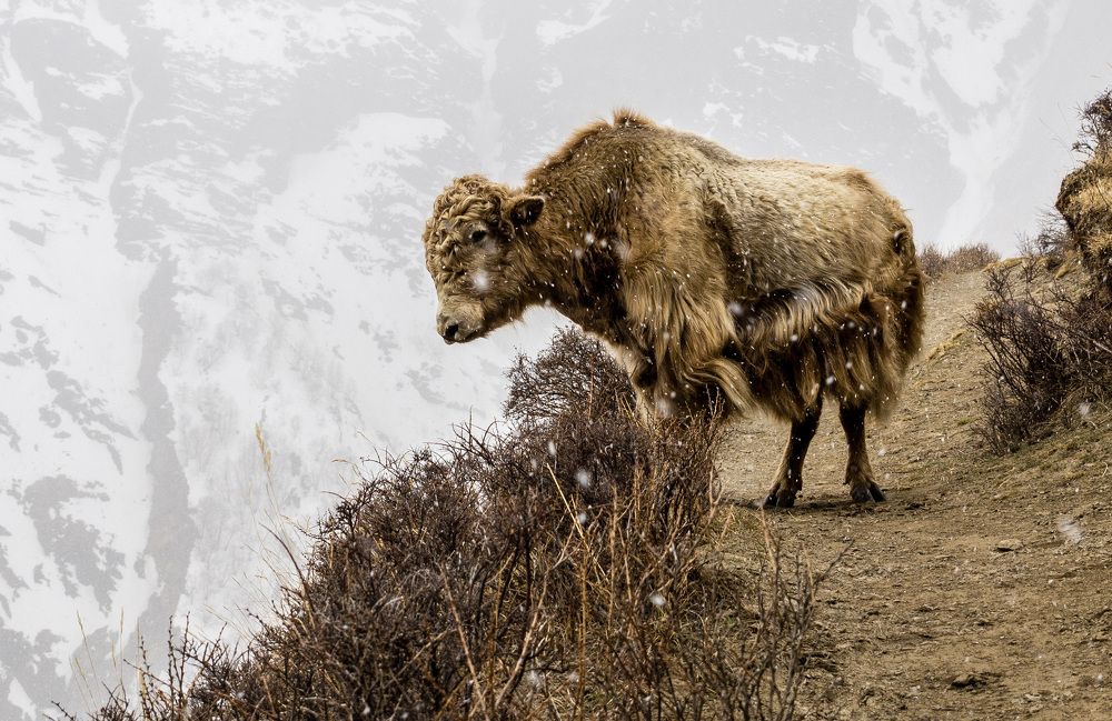 Photograph by Виктор Петров