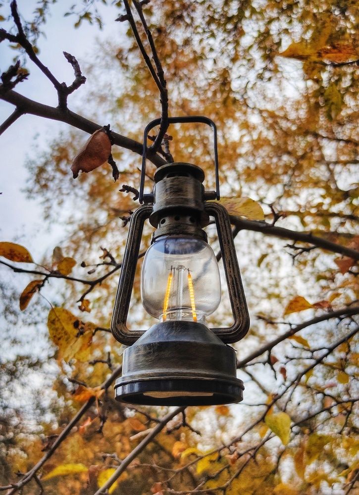 Photograph by Юлия Еганова