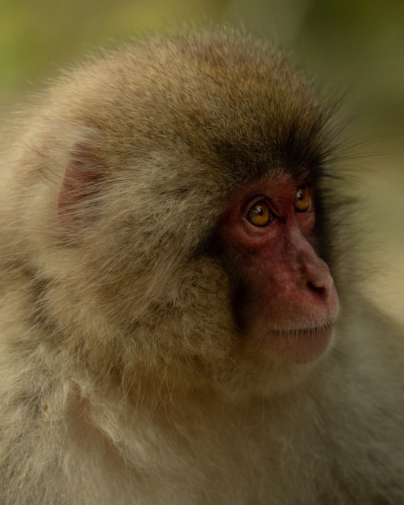 Photograph by Alberto cambra herrera
