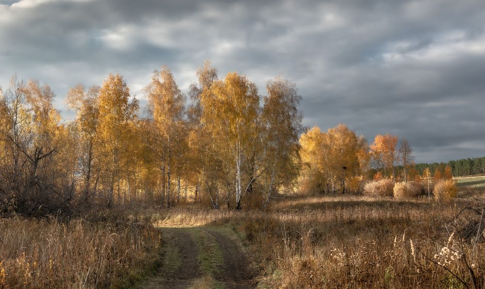 Photograph by Валерий Туманов