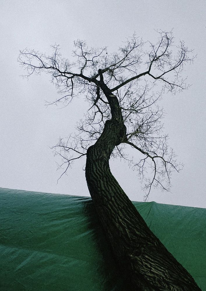Photo #9858543