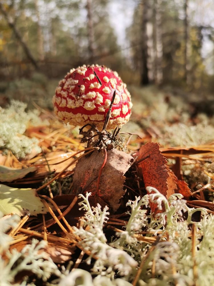 Photograph by Александра Гиль