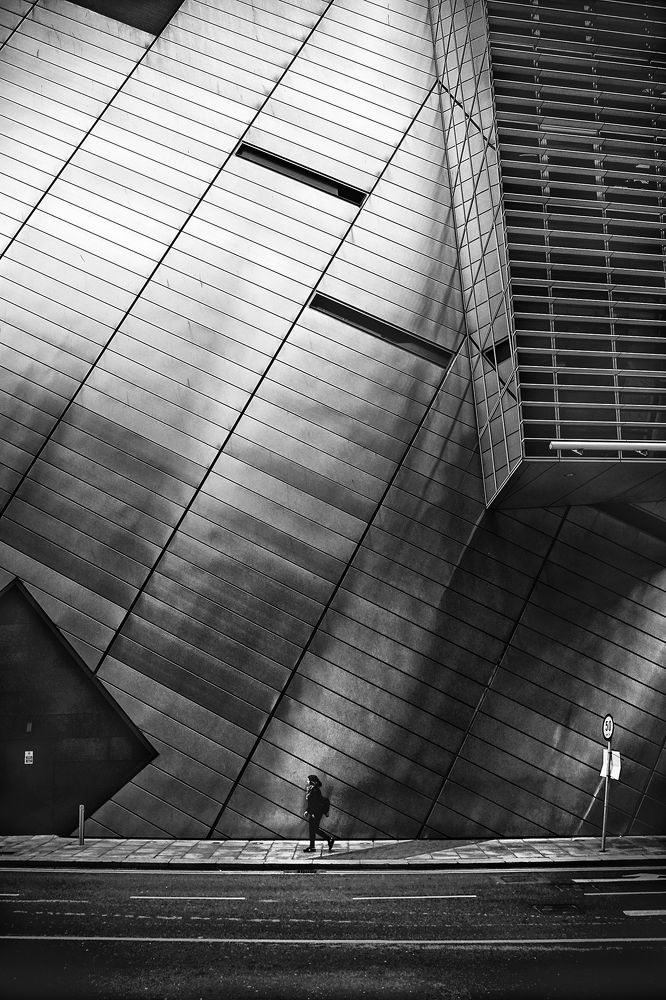 Фотография автора Vasilev Kris