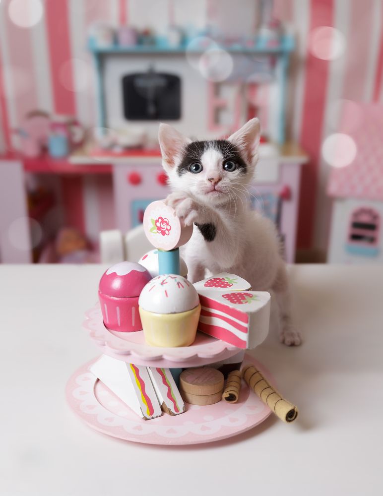 The Little White Heart