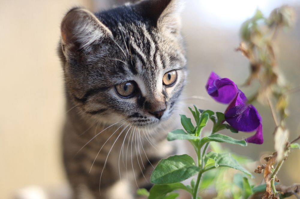 Photograph by Игорь Грулёв