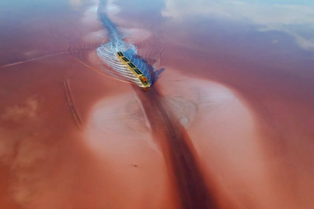 А вгости к Дзенибе.