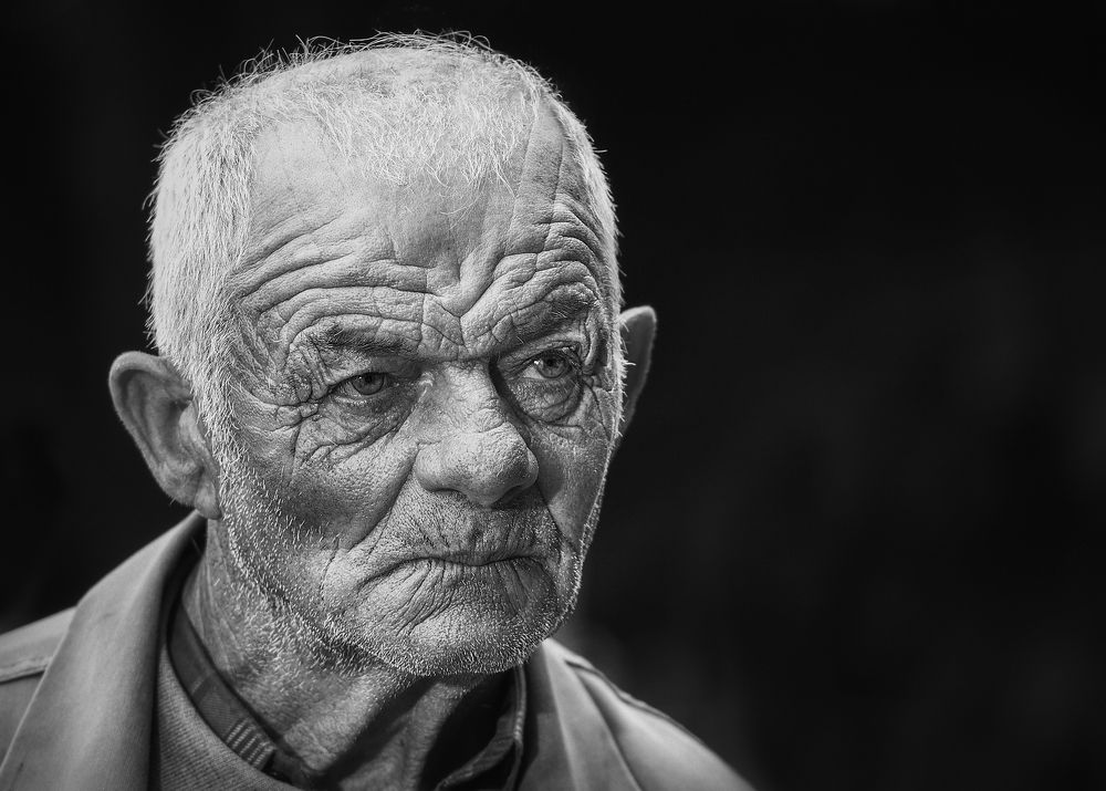 A Lifetime in the Cognac Vineyards