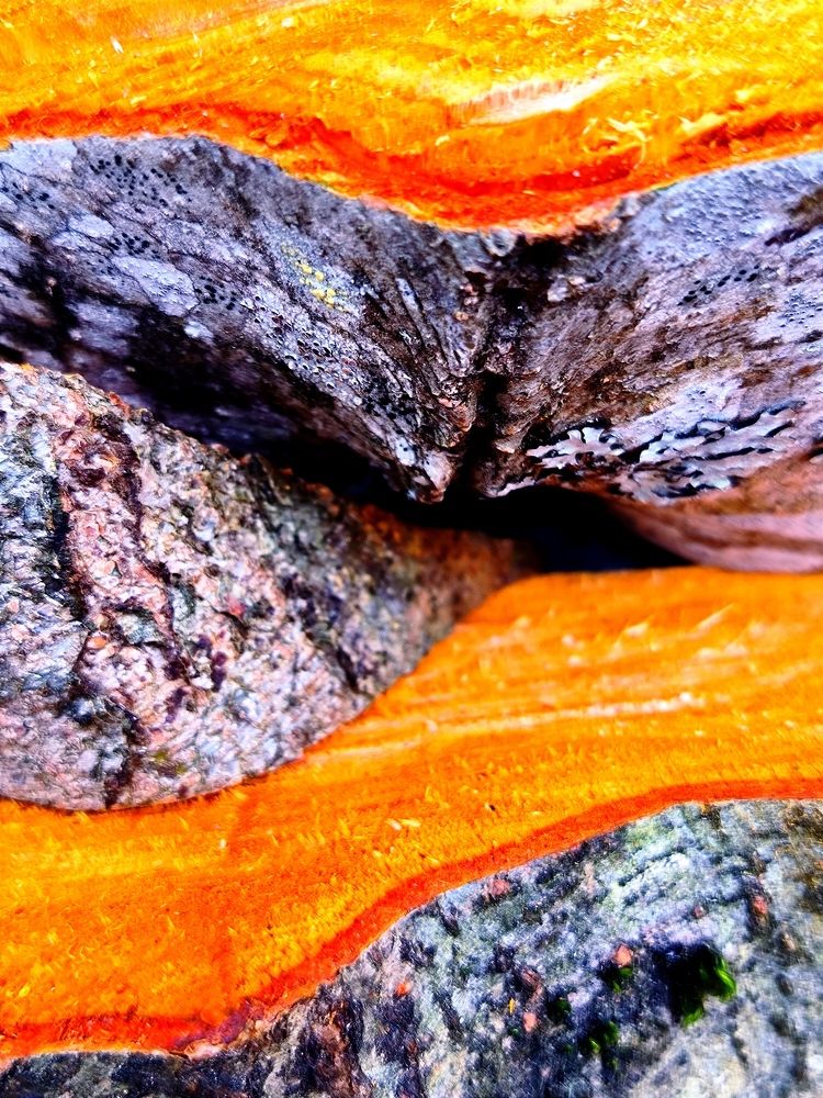 Illusions of lifeless lines.