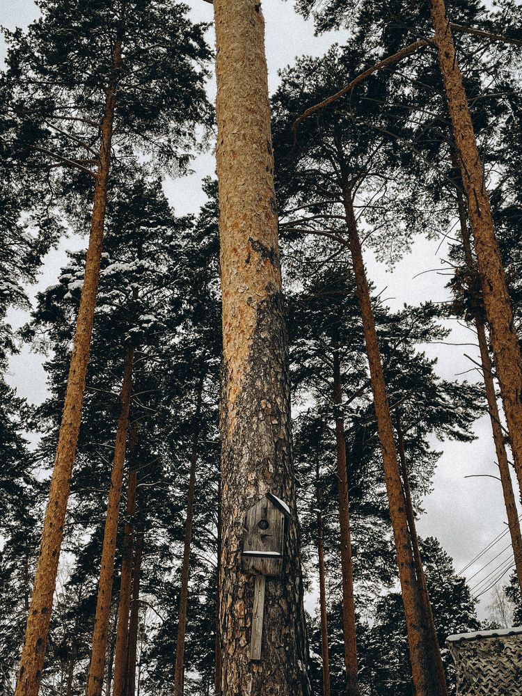 Photograph by Анастасия Добрынина