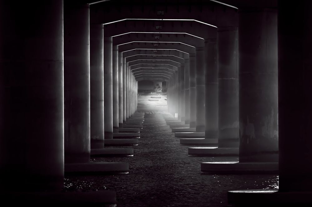 Photograph by HyunSoo Lee