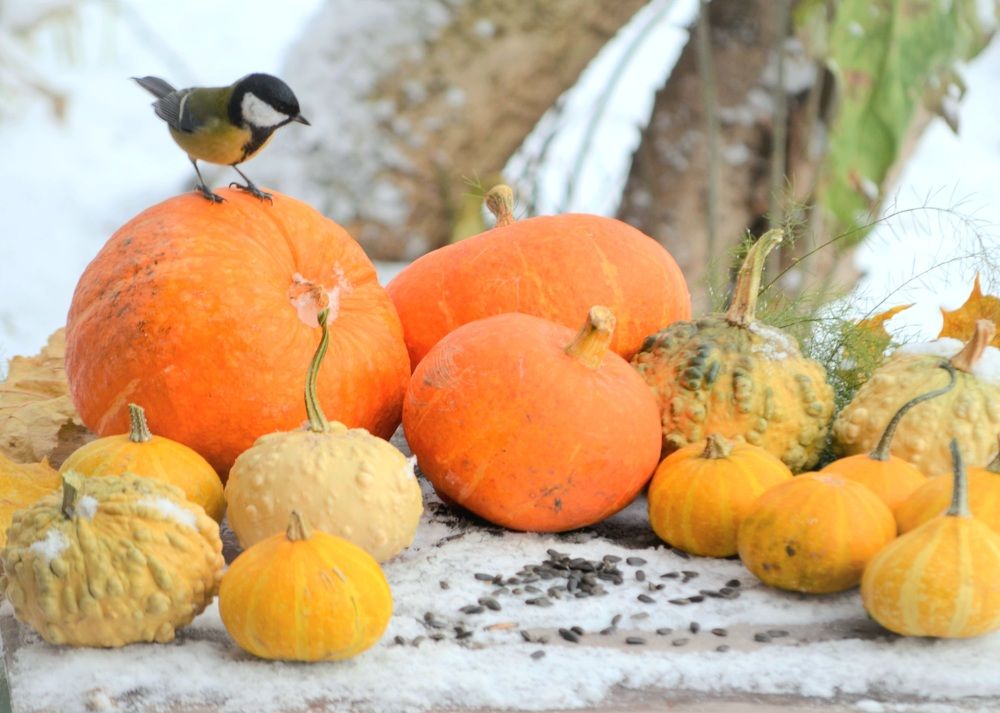 Photograph by Соколова Елена