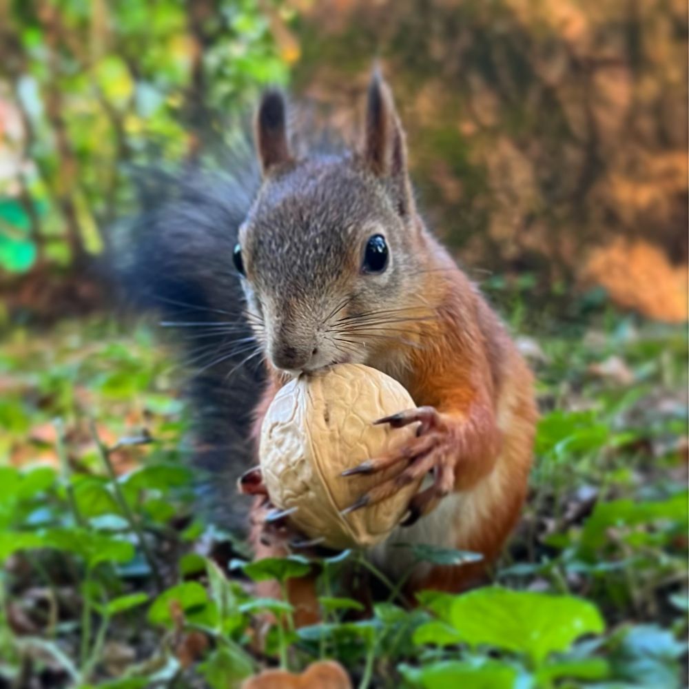 Photograph by Ирина