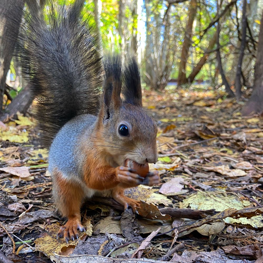 Photograph by Ирина