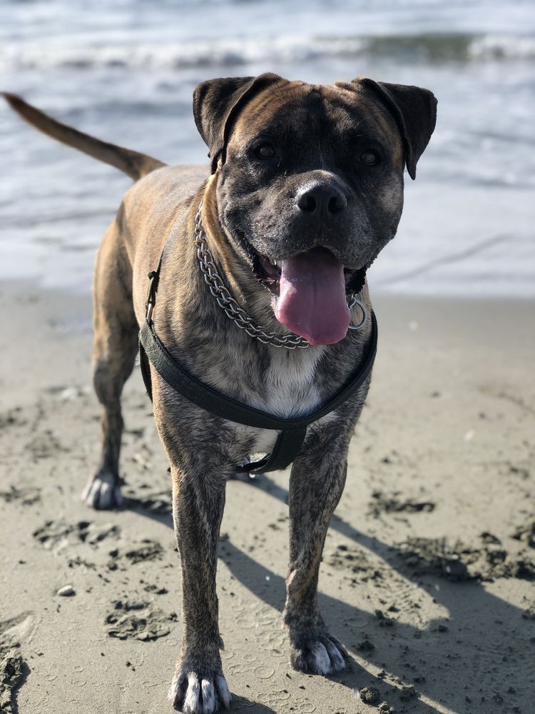 Photograph by Anna Poponina