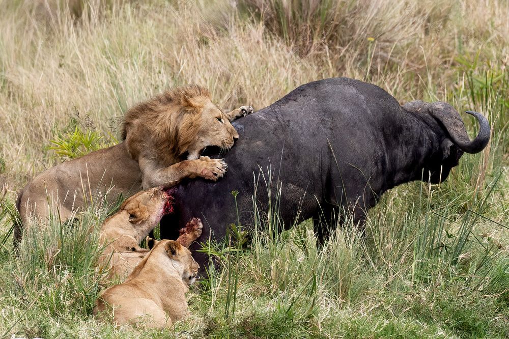 Photograph by nitin jain