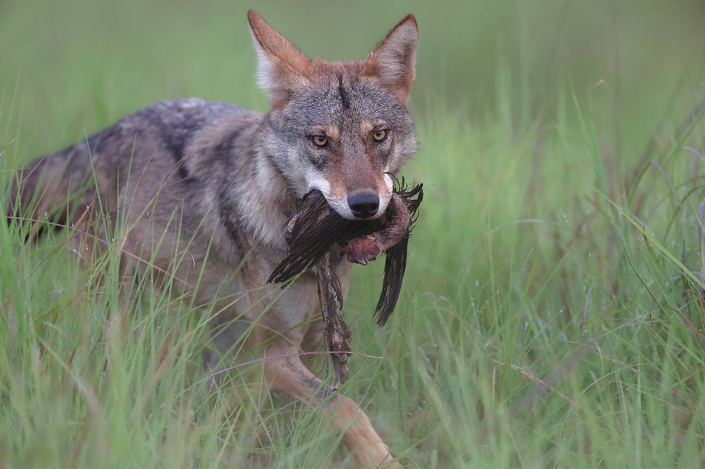 Photograph by nitin jain