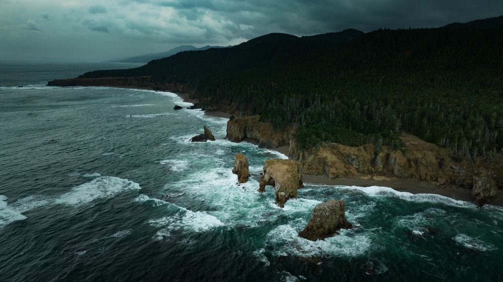Мыс Птичий. Остров Сахалин