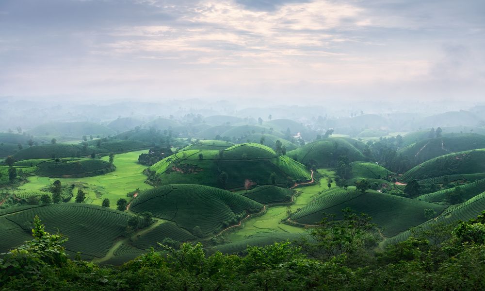 Photograph by Эрнест Вахеди