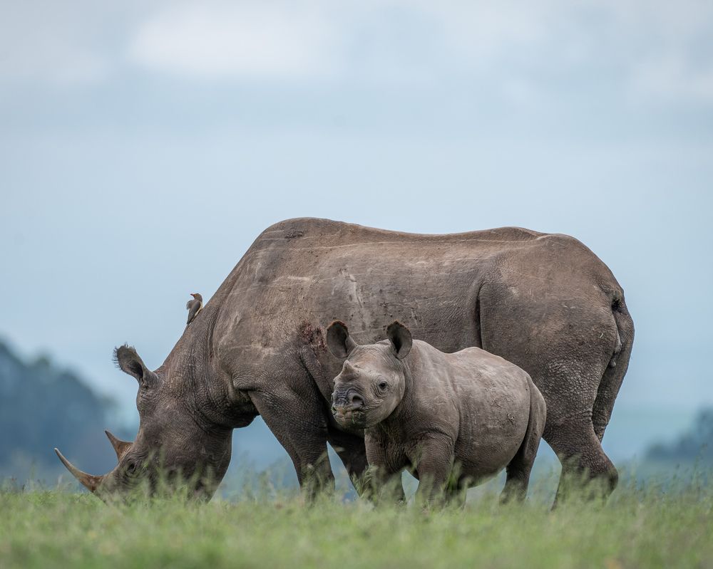 Photograph by Rio Marvin