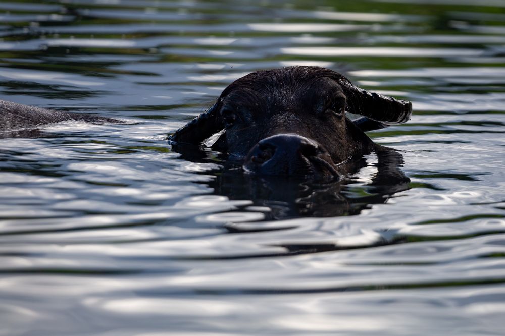 Photograph by Дмитрий Грошиков